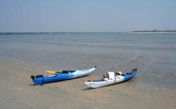 20060120picturefriday.jpg
