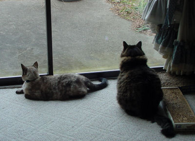 20060217.jpg