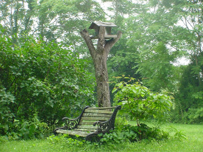20060310.jpg