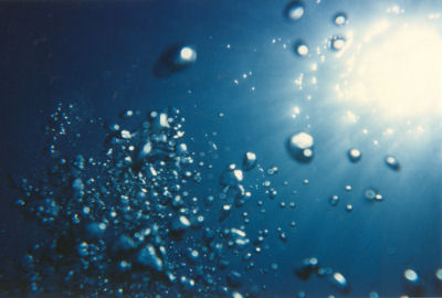20060421.jpg