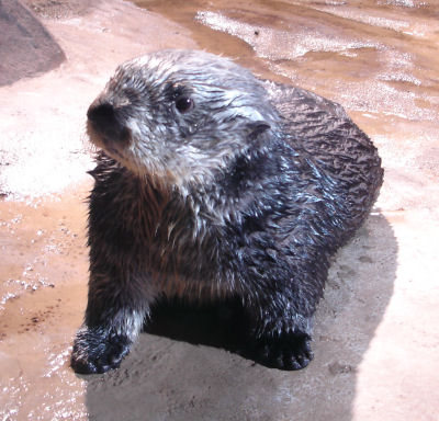 20060616.jpg