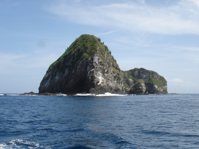 20070818dive01.jpg