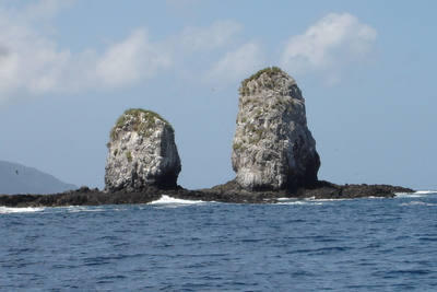 20070818dive02.jpg
